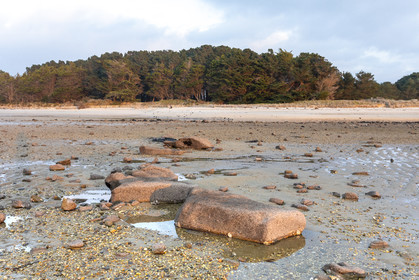 Alignements de Kerdual _ la Trinité sur Mer