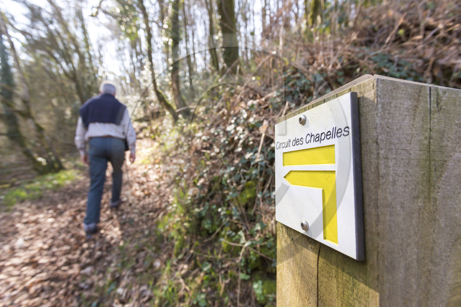 Randonnée à Quistinic