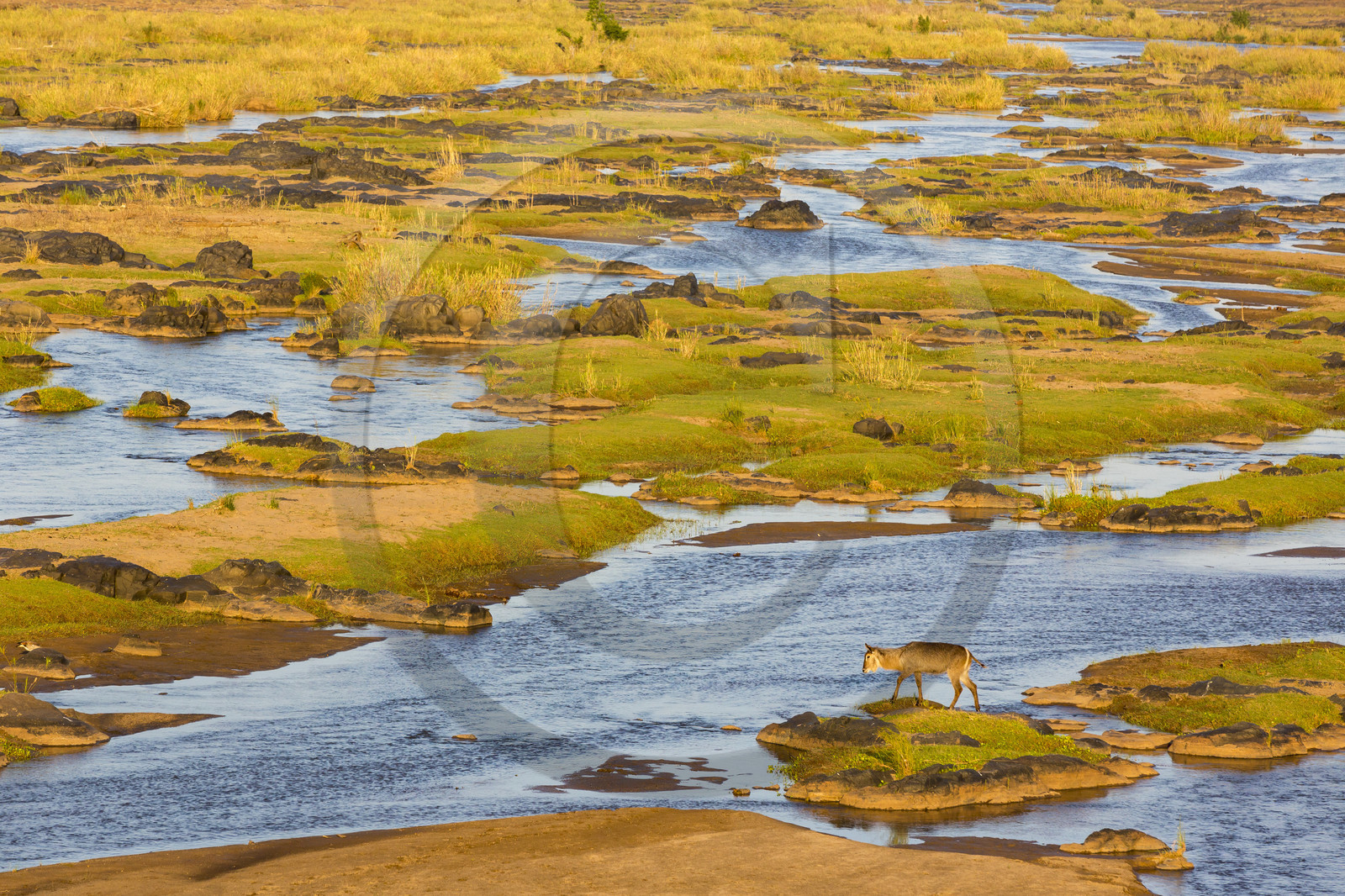 Paysage_Parc Krüger, Afrique du Sud