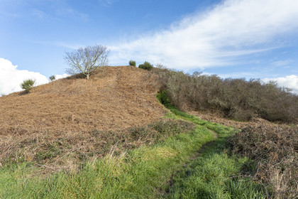 Tumulus de Tumiac à Arzon
