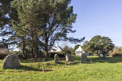 Site mégalithique de Kergonan _ Ile aux moines