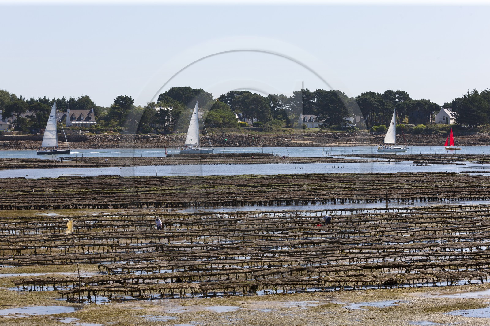 La riviere de Crac h vue depuis la Trinite sur Mer