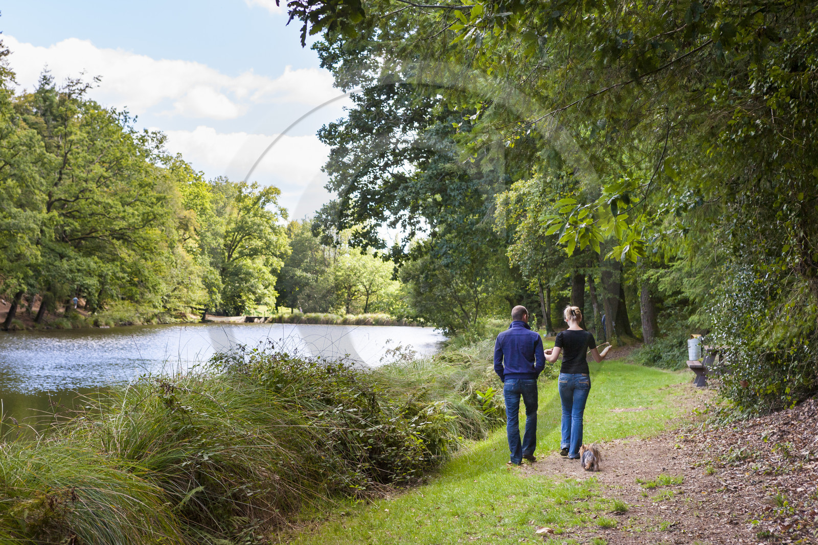 Etang de Kergoff à Caudan