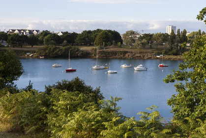 Vasière de Quelissoy _ Larmor-Plage