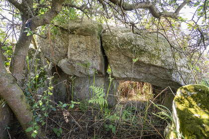 Allée couverte du Net _ Saint-Gildas-de-Rhuys
