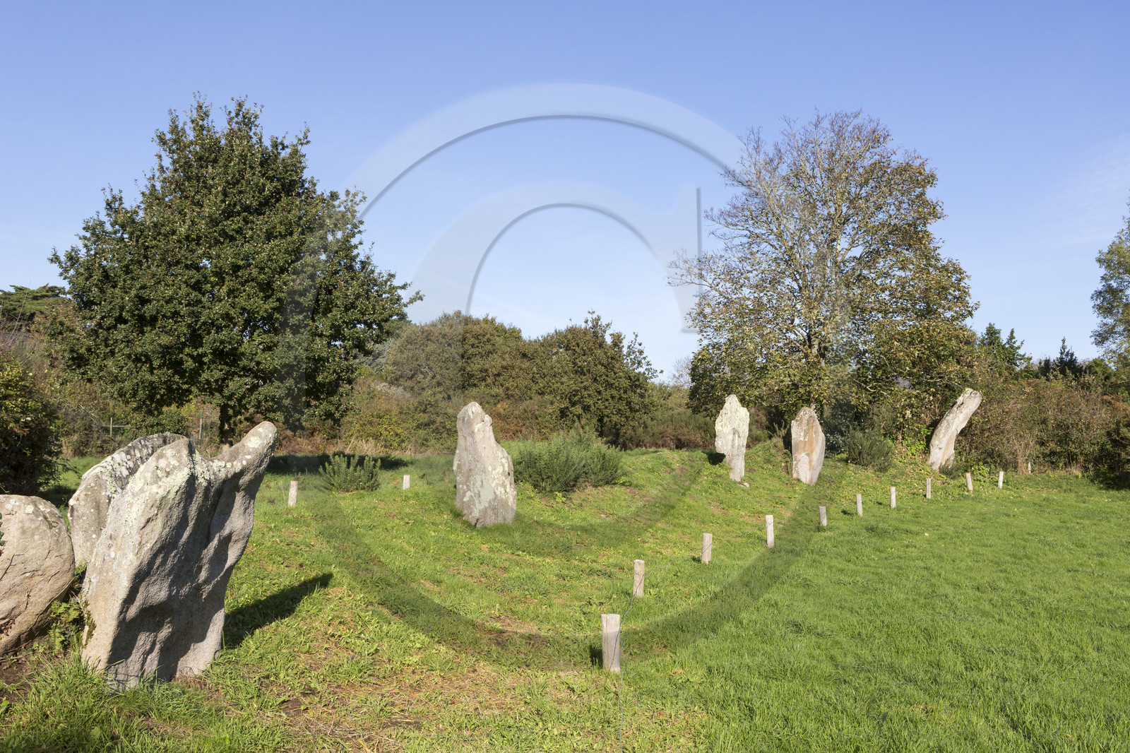 Site mégalithique de Kergonan _ Ile aux moines