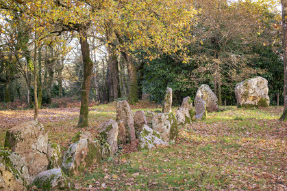 Allée couverte de Luffang Tal-er-Roch à Crach.