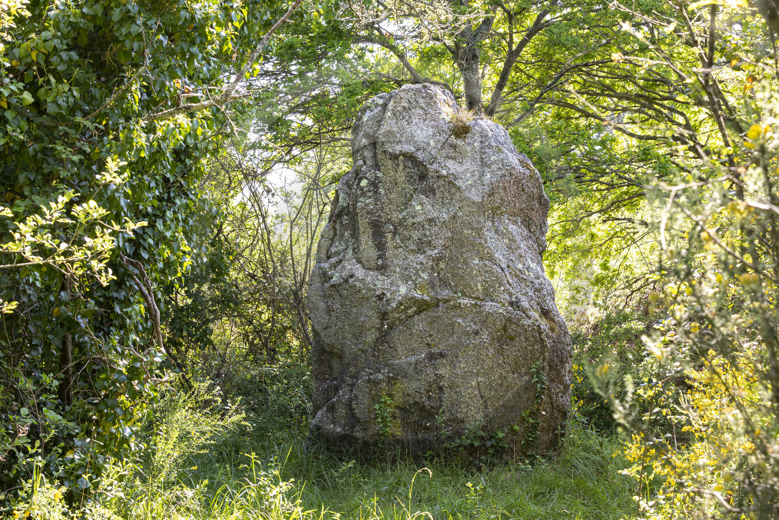 menhir de Men er Palud _ Saint-Gildas-de-Rhuys
