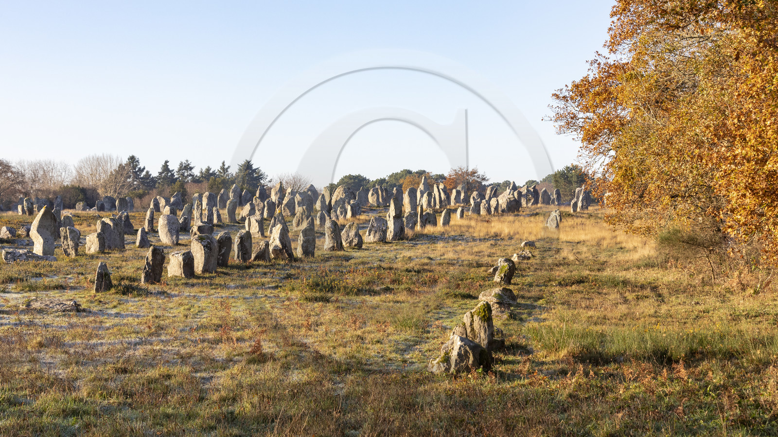 Alignement de Kermario_Carnac