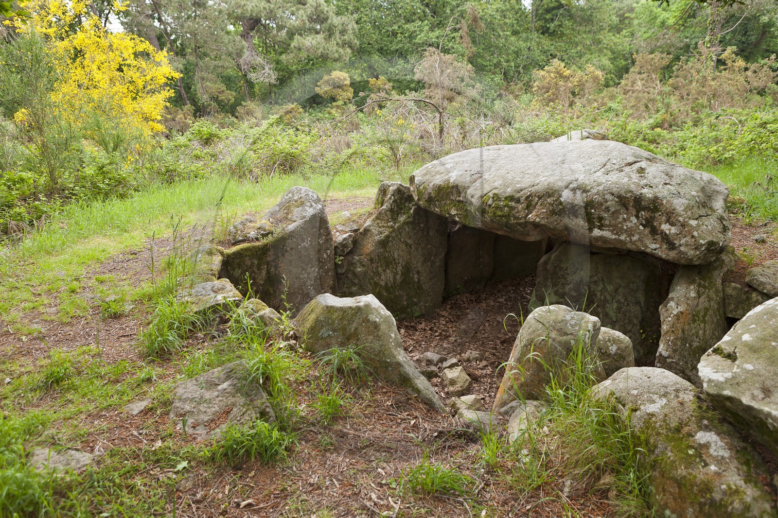 LE DOLMEN DE KERMARQUER