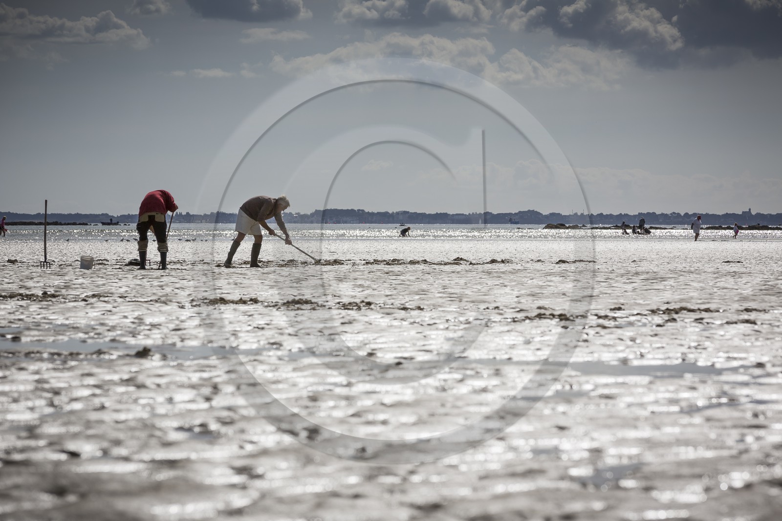 Peche a pied _ plage du men du