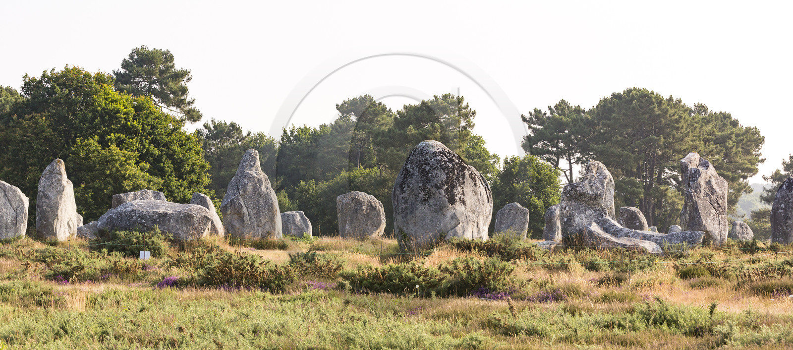 Les alignements de Kermario _ Carnac
