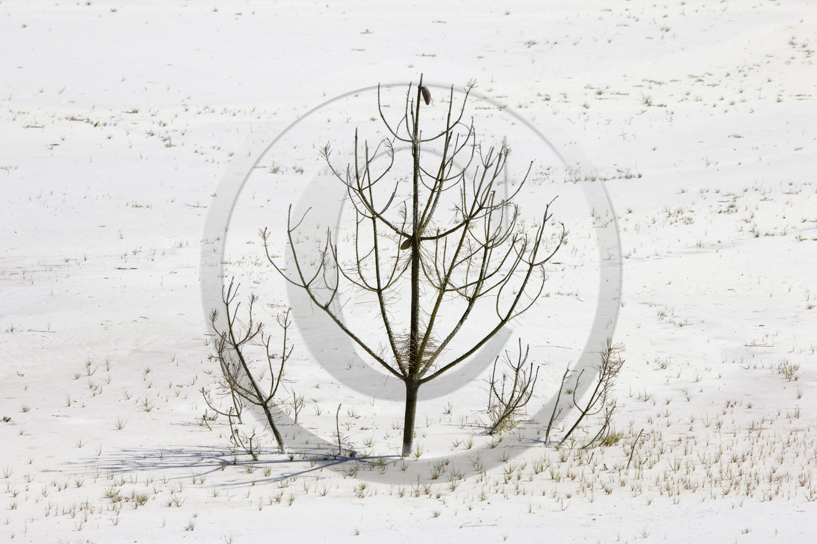 Les Kaolins_Ploemeur (56)