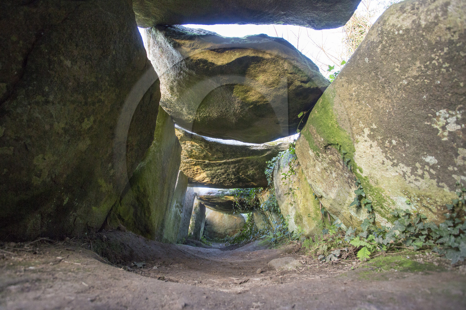 L'allée couverte de Kerguntuil à Trégastel.