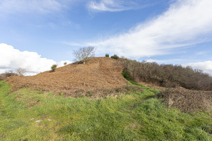 Tumulus de Tumiac à Arzon
