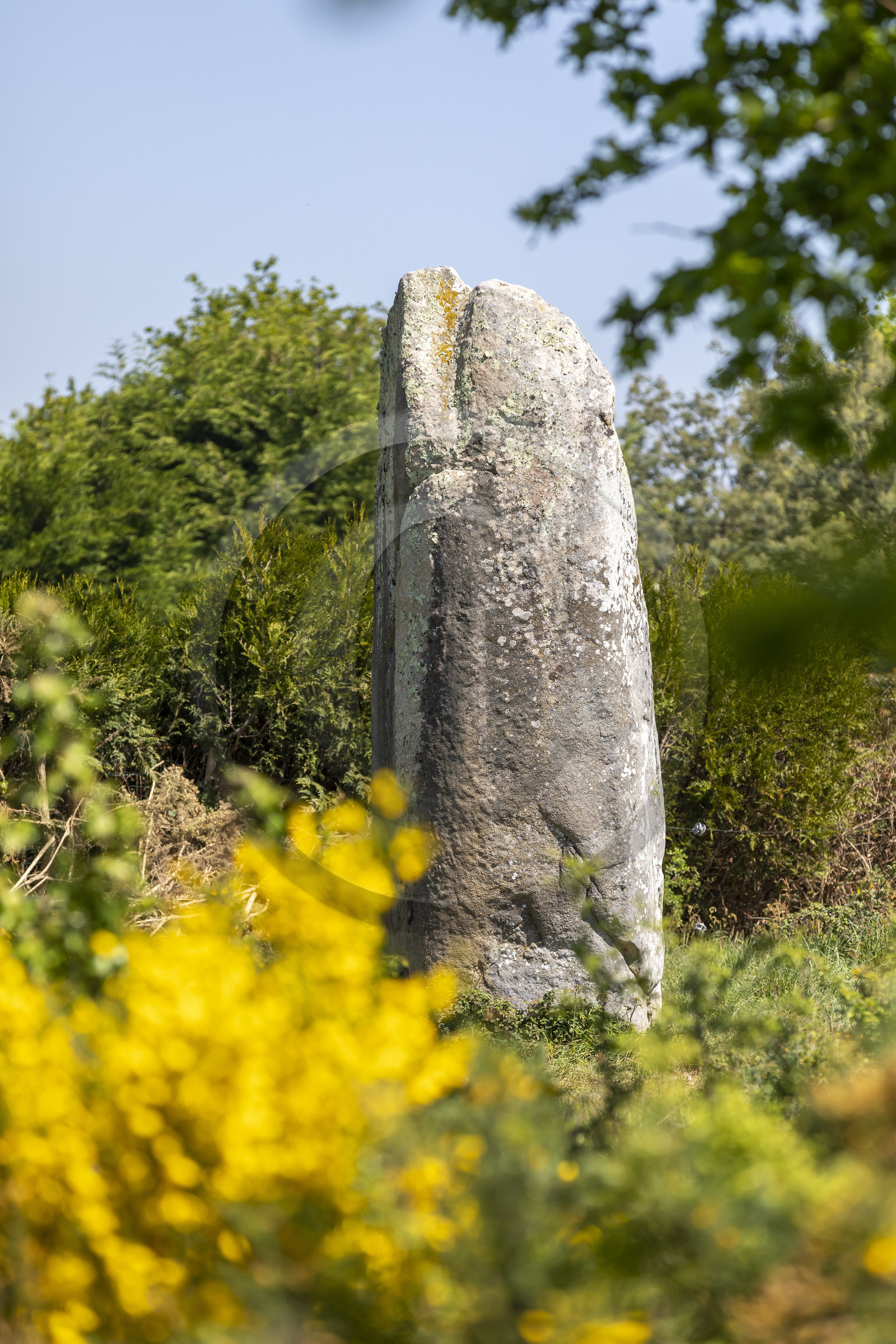Le menhir de Kermaillard à Sarzeau