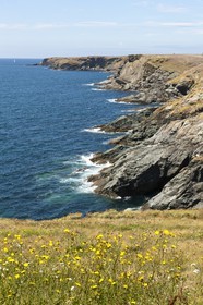 Cote sauvage _ Ile de Groix