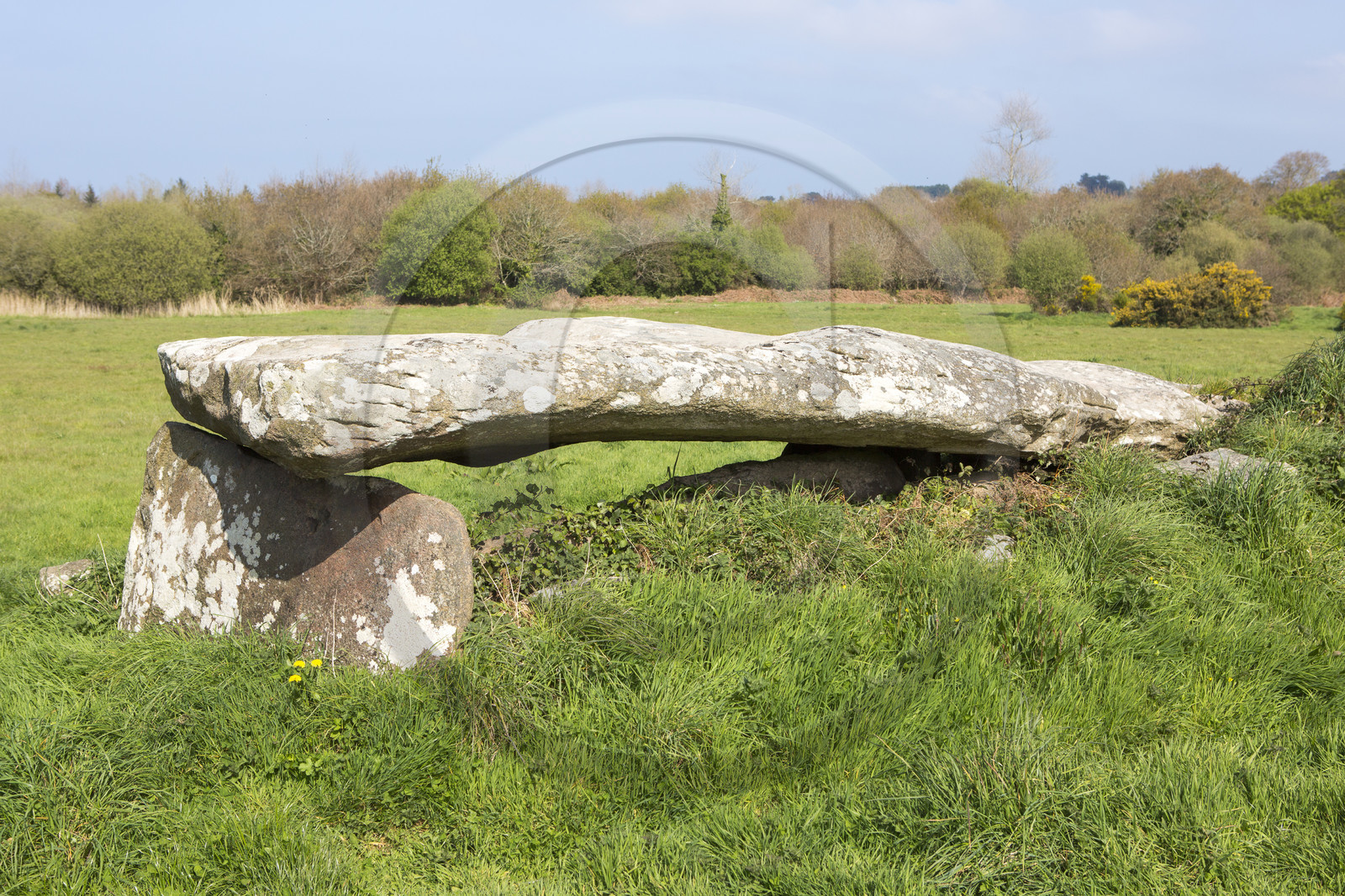 Le Dolmen de Kerguntuil