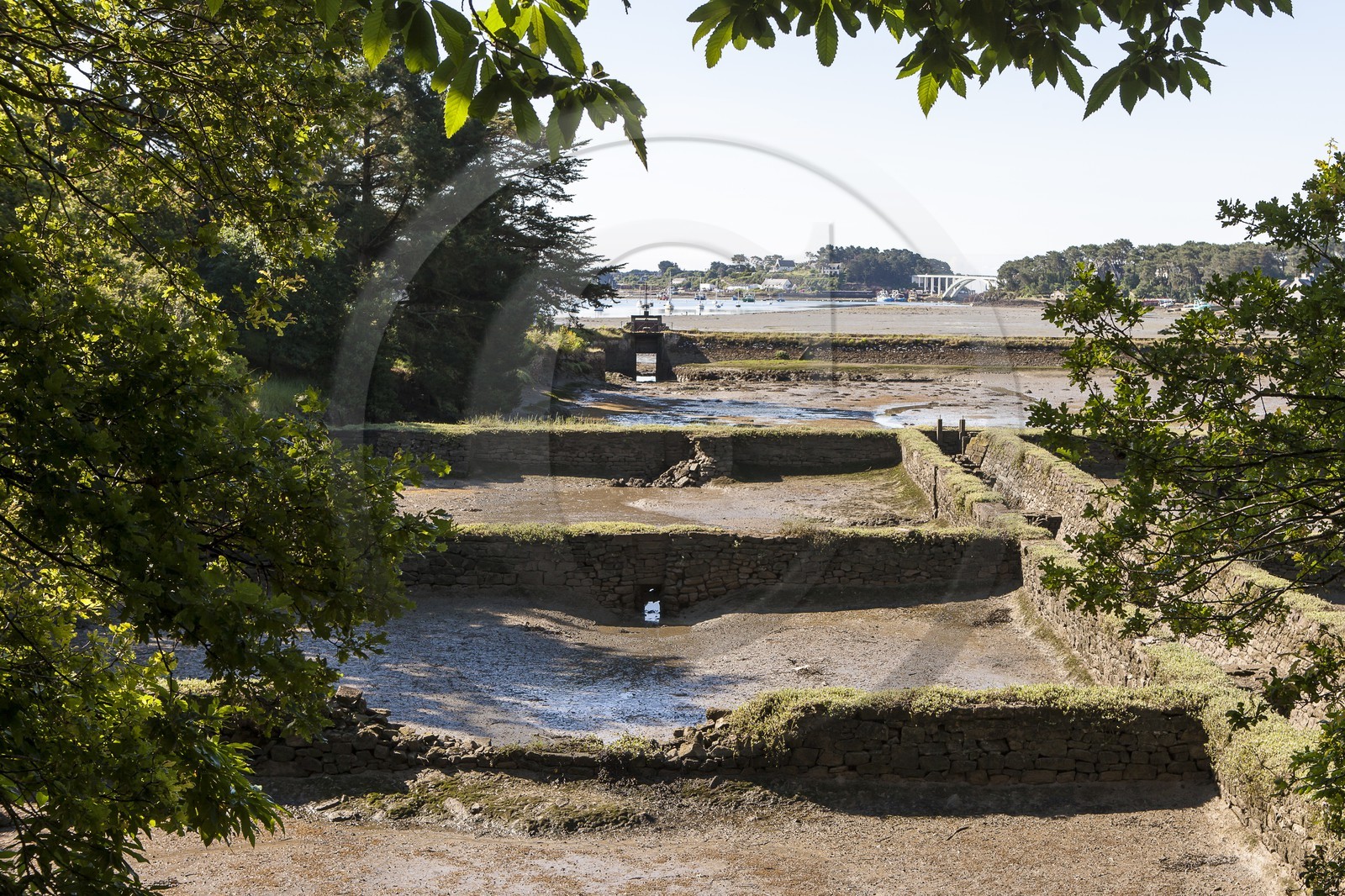 Anse de Kervilor dans la riviere de Crach _ La trinite sur mer .