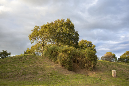 Le tumulus du Moustoir à Carnac