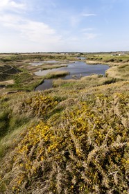 Etang du Loch - Guidel