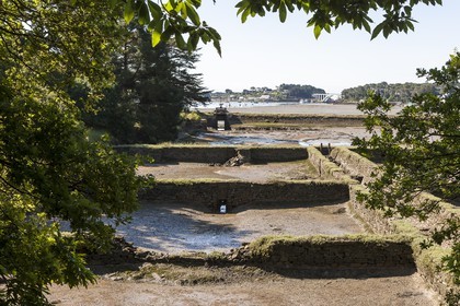Anse de Kervilor dans la riviere de Crach _ La trinite sur mer .