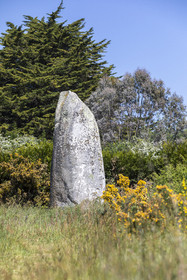 Le menhir de Kermaillard à Sarzeau