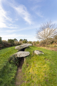 Dolmen du Graniol à Arzon