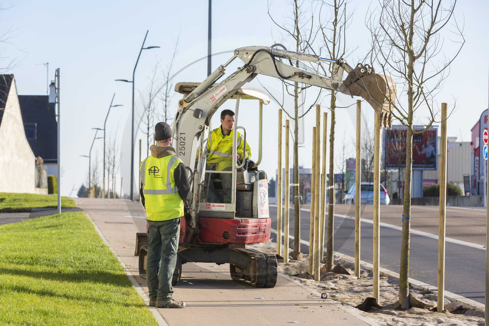 Triskell_Arbres_Queudet