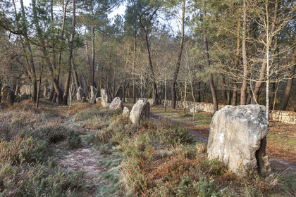 Alignements du Petit Menec _ La Trinite sur Mer