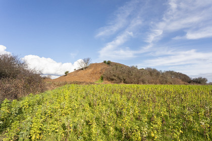 Tumulus de Tumiac à Arzon