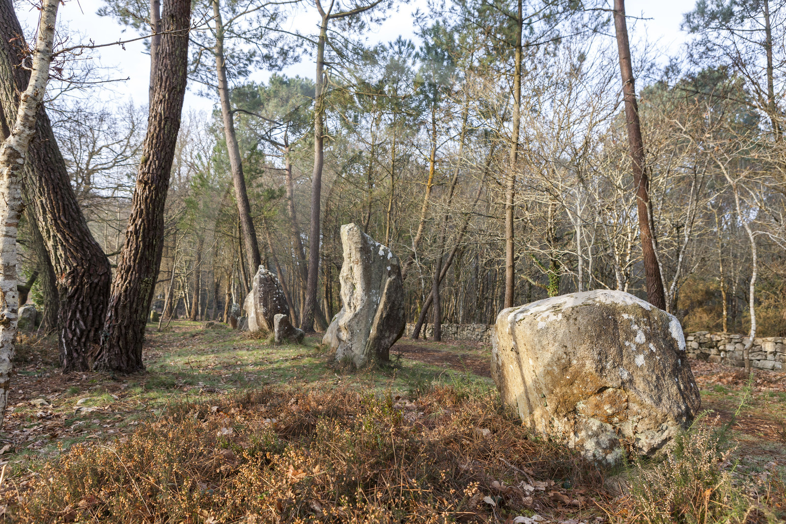Alignements du Petit Menec _ La Trinite sur Mer