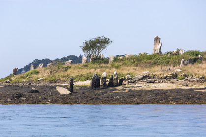 Er Lannic dans le golfe du Morbihan à Arzon