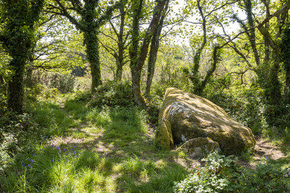 Dolmen de Men Hiaul (Kerblay) à Sarzeau