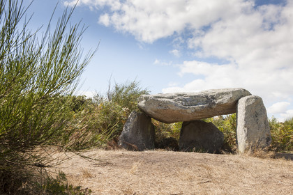 Ploemeur_Dolmen ar Roc' h