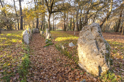 Allée couverte de Luffang Tal-er-Roch à Crach.