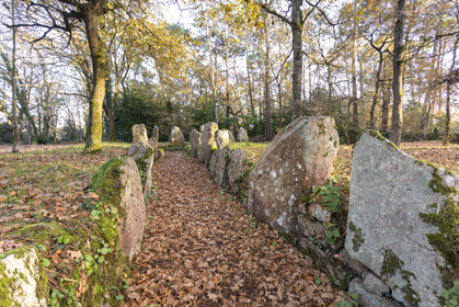 Allée couverte de Luffang Tal-er-Roch à Crach.