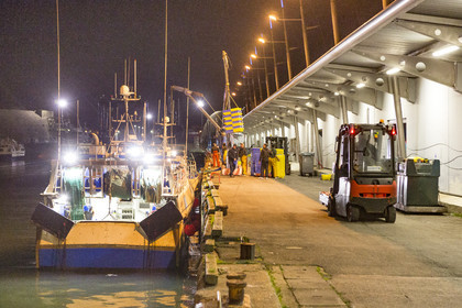 Port de pêche de Keroman à Lorient