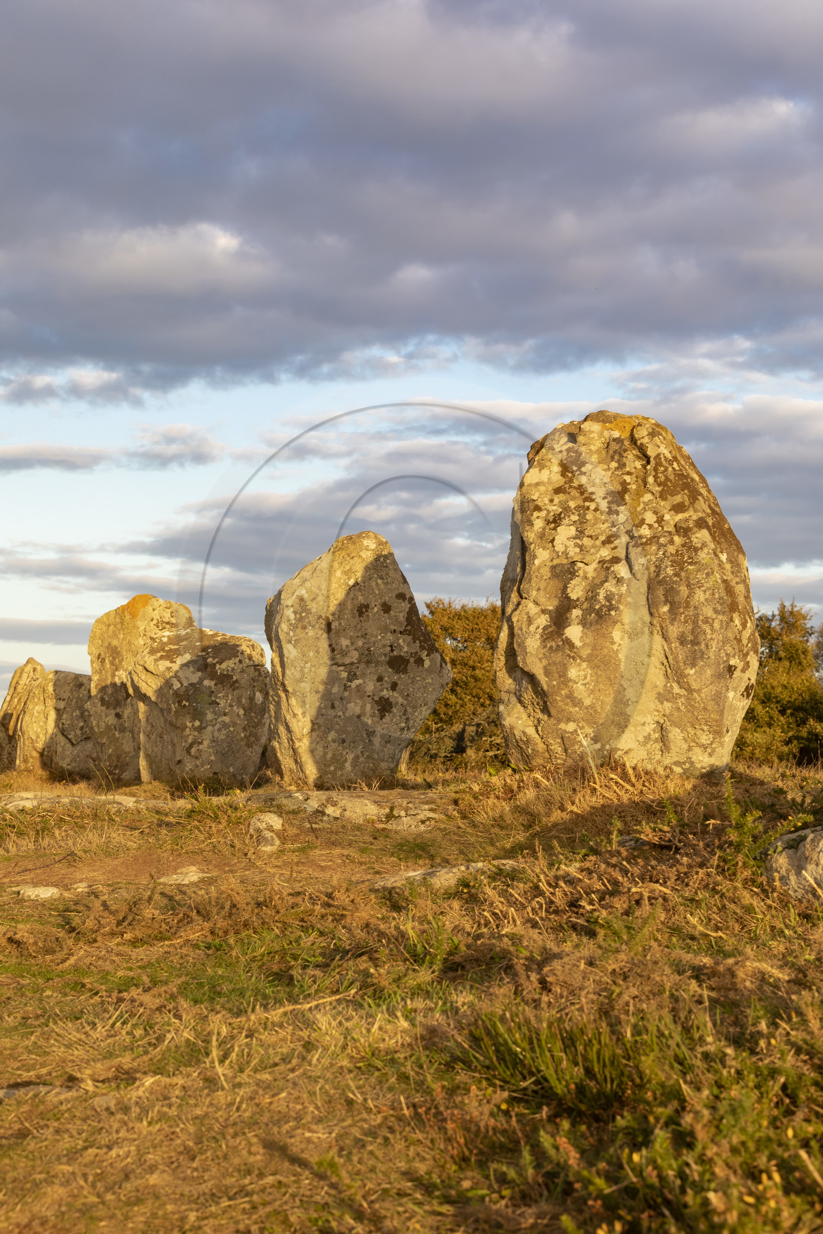 Les alignements du Ménec à Carnac