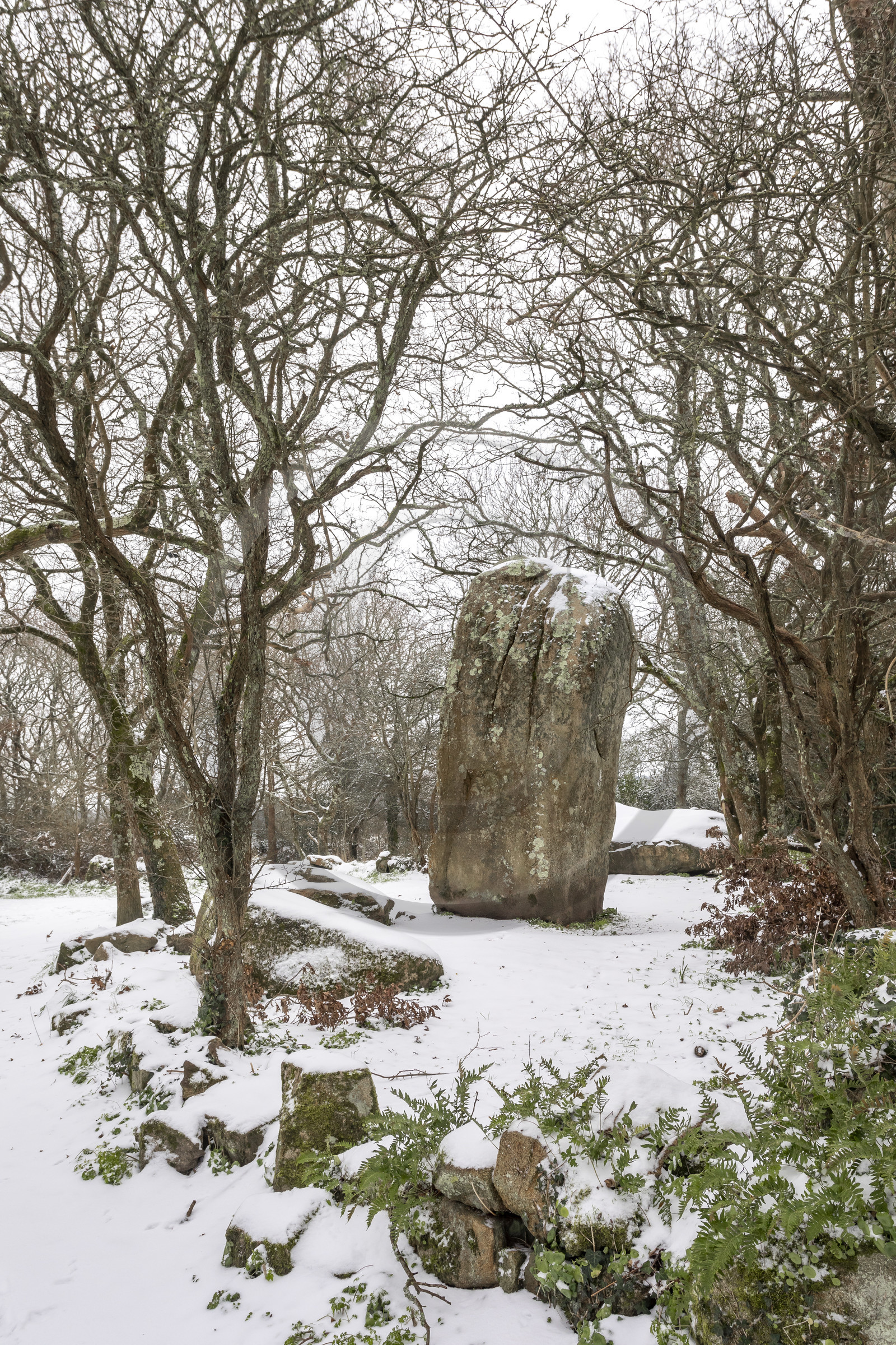 Alignements de Kerzerho _ Erdeven