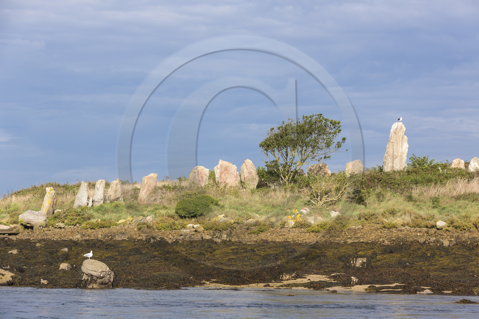 Er Lannic dans le golfe du Morbihan à Arzon
