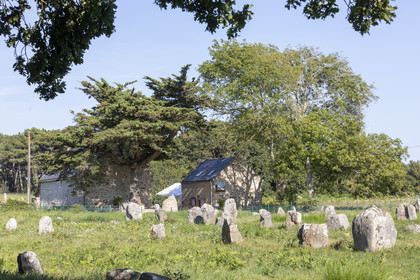 CARNAC _ Circuit des mégalithes _ ÉTÉ 2021
