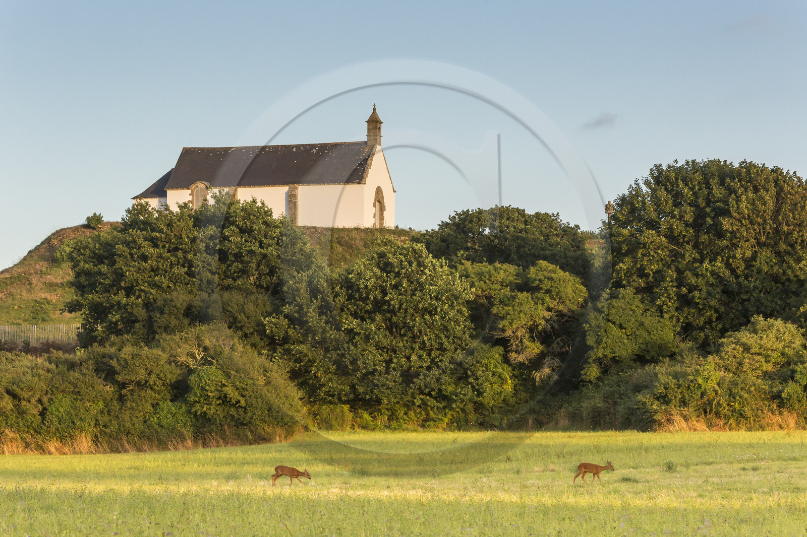 Le tumulus Saint-Michel à Carnac