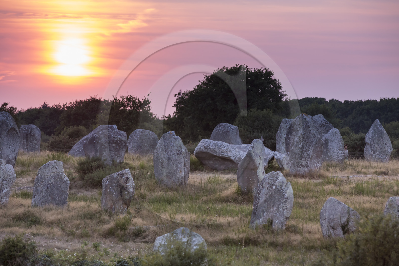Alignements de Menhirs du Ménec à Carnac