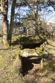 Dolmen de kervilor mane bras. La Trinite su Mer.