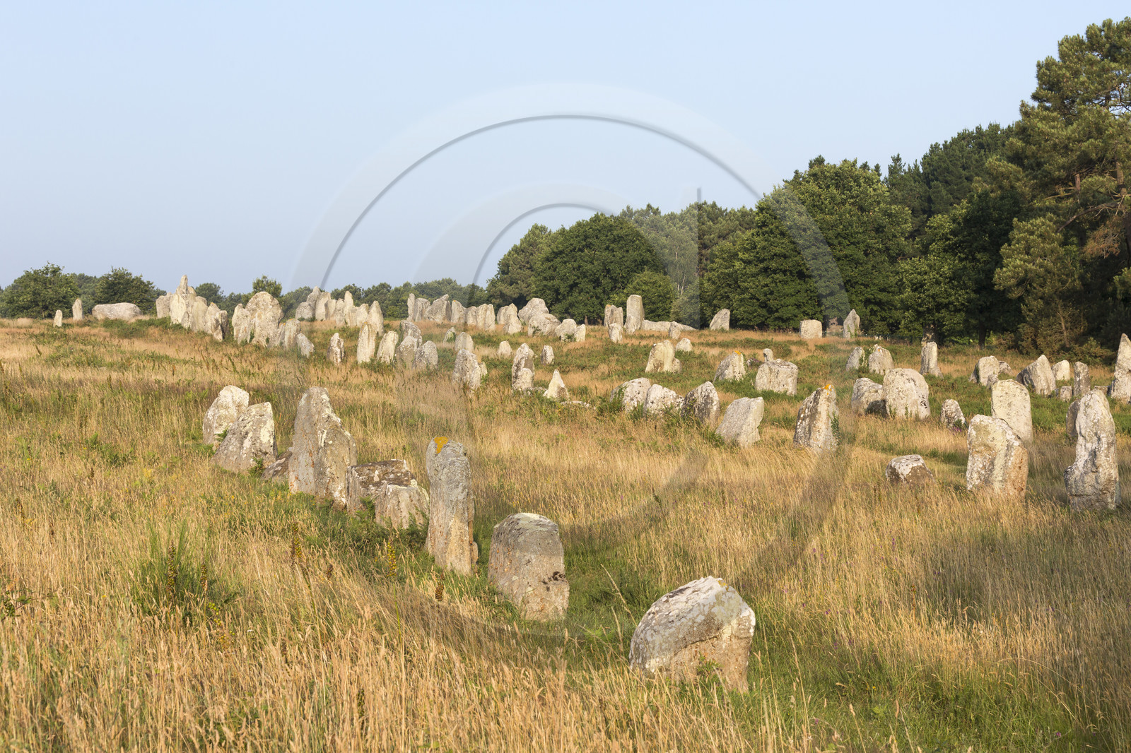 Les alignements de Kermario _ Carnac