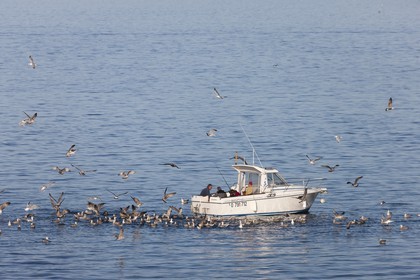 Bateau de plaisance. Ile de Groix.