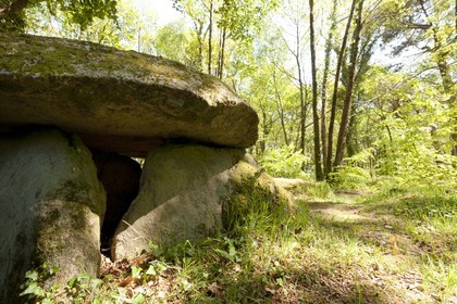 Dolmen de Lesvariel _ Guidel