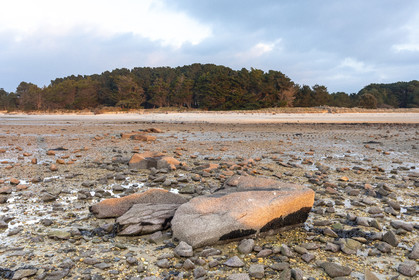 Alignements de Kerdual _ la Trinité sur Mer