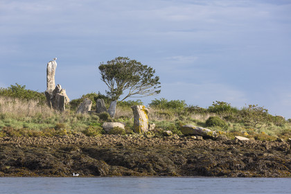 Er Lannic dans le golfe du Morbihan à Arzon